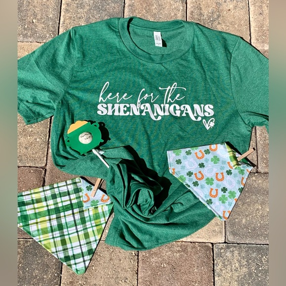 St Patty’s Day - Here for the Shenanigans - M - Bella-Canvas - NWT - Handmade ☘️ - Picture 2 of 2